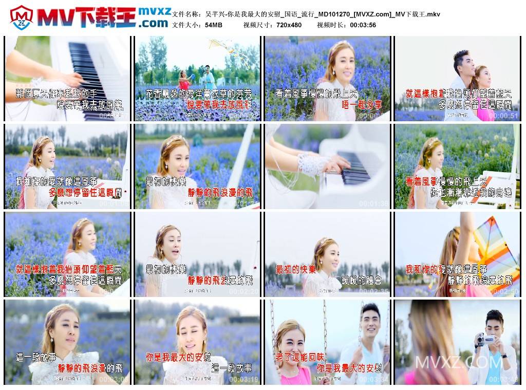 吴芊兴-你是我最大的安慰_国语_流行_MD101270